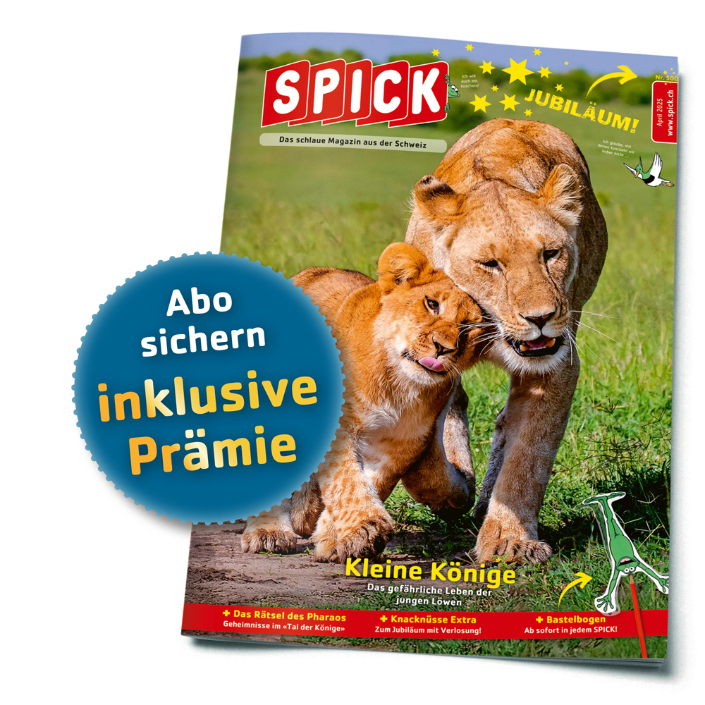SPICK Abo