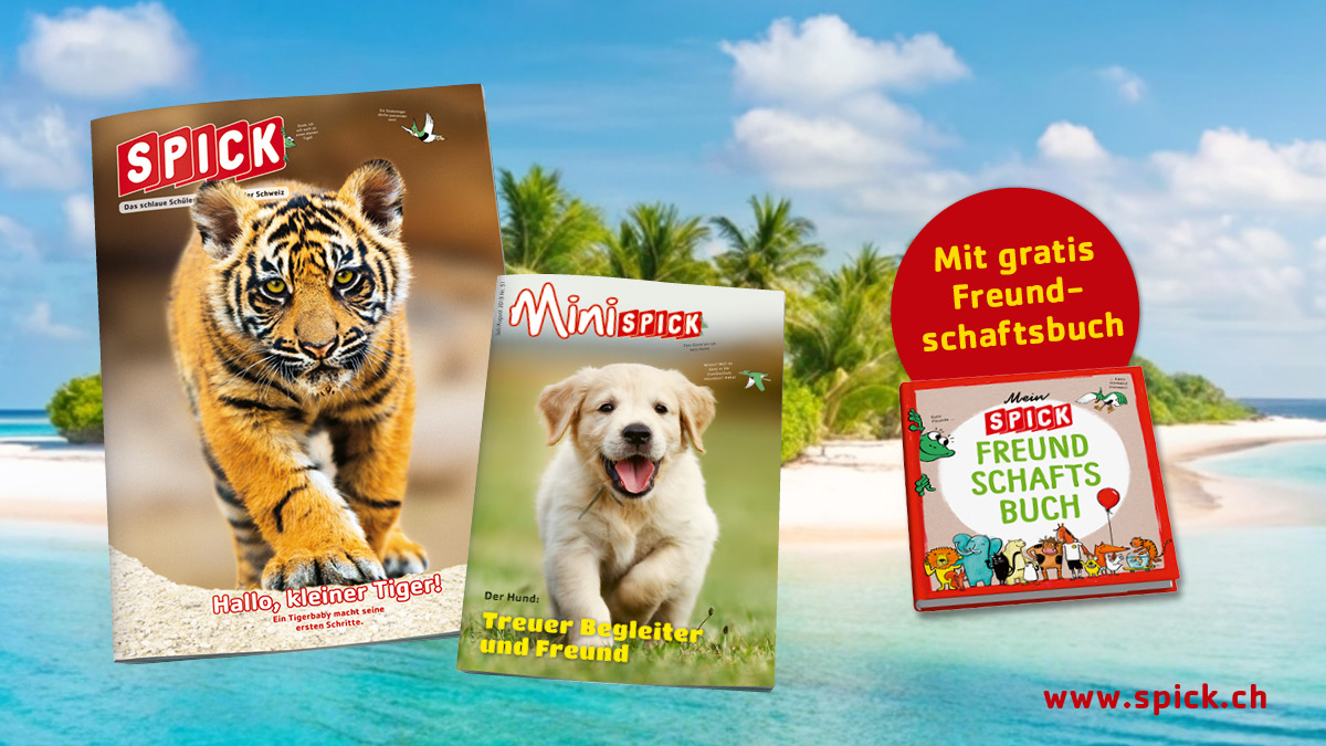 SPICK & MiniSPICK Spezialangebot