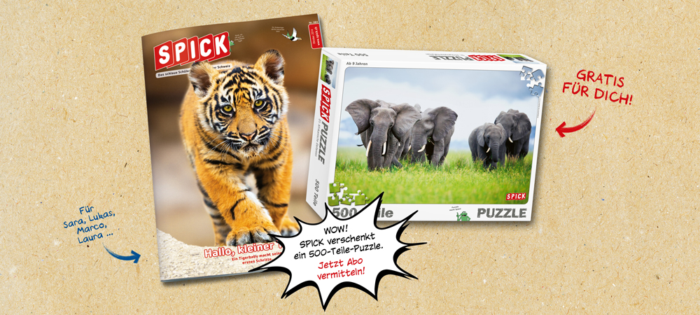 SPICK für deine Freunde! Puzzle für dich